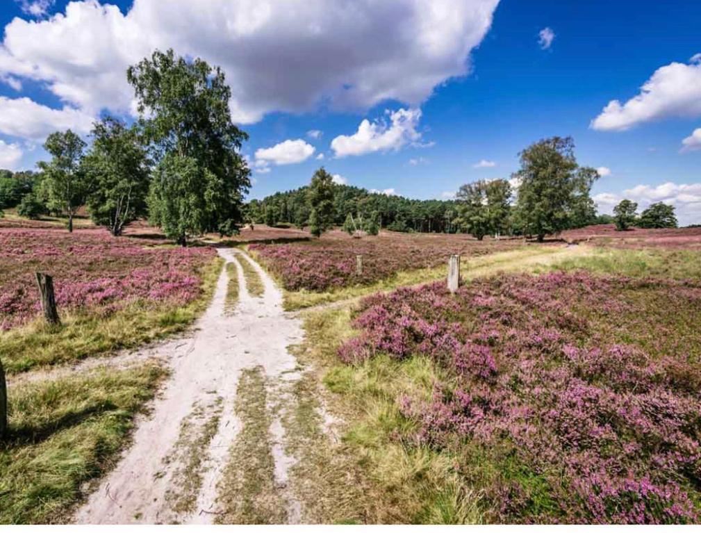 Feelslikehome - Reihenhaus Zwischen Hamburg Und Heide Mit Garten&Garage Neu Wulmstorf Exteriör bild